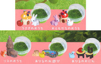 Fairytale Stories [All 5 type set(Full Complete)]