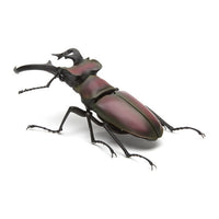 Kuwagata 02 [1.Miyama Stag Beetle]