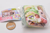 Sylvanian Families multi-case collection [2.Walnut Squirrel Boy Ralph]