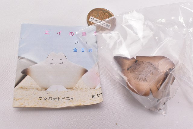Ray no uragawagakawaii Figure [5.Dried ray] – toysantajp