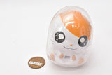Capchara Hamtaro [1.Hamtaro]
