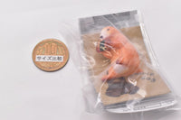 Ippaitaberu Animal gasuki Motto tabeta-i! [1.Prairie dogs and soy sauce Senbei]