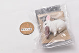 Ippaitaberu Animal gasuki Motto tabeta-i! [3.White rabbit and chocolate donut]