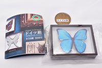 Science Technicolor German Box Magnet Collection [1.Menelaus morpho]