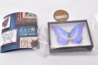 Science Technicolor German Box Magnet Collection [2.Helena Morpho]