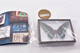 Science Technicolor German Box Magnet Collection [3.Aesculus hippocastanum]
