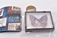 Science Technicolor German Box Magnet Collection [5.Great purple emperor]