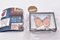 Science Technicolor German Box Magnet Collection [8.Plain tiger]