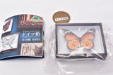 Science Technicolor German Box Magnet Collection [8.Plain tiger]