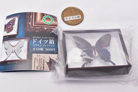 Science Technicolor German Box Magnet Collection [9.Yaeyama Chinese Peacock Butterfly]