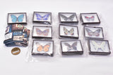 Science Technicolor German Box Magnet Collection [All 10 type set(Full Complete)]