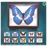 Science Technicolor German Box Magnet Collection [All 10 type set(Full Complete)]