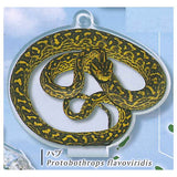 Nature Technicolor World Natural Heritage Amami Oshima, Tokunoshima, Northern Okinawa Island and Iriomote Island Acrylic Mascot [6.Protobothrops flavoviridis]