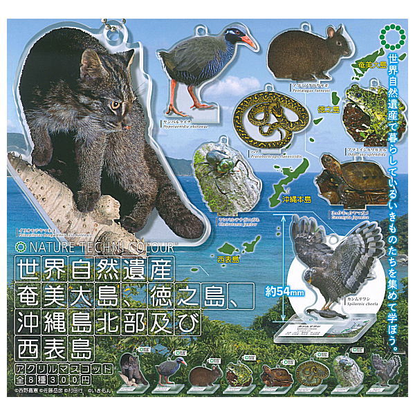 Nature Technicolor World Natural Heritage Amami Oshima, Tokunoshima, Northern Okinawa Island and Iriomote Island Acrylic Mascot [All 8 type set(Full Complete)]