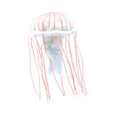 Stuffed toy jellyfish [5.Red jellyfish]