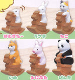 Nakayoshi Rocking Horse Club [All 6 type set(Full Complete)]