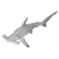 The world of the blue sea The Shark [2.Hammerhead shark]