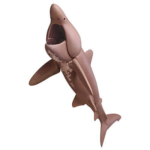 The world of the blue sea The Shark [4.Basking shark]