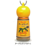 S & B Foods Co., Ltd. SPICE & HERB Miniature Key Chain [2.Turmeric (powder)]