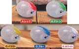 Punyu Punyu! Puka Puka! Glass squid mascot [All 5 type set(Full Complete)]