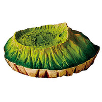 TAMA-KYU The mountain finally moved Pullback mountain [4.Diamond head]