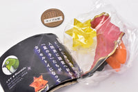 Hoshi no Ko Collection [5.Sunset]