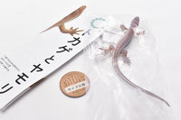 Nature Techni colour MONO PLUS Lizards and geckos magnets & ball chains [10.Japanese lizard (adult) Ball Chain]