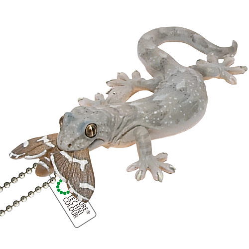 Nature Techni colour MONO PLUS Lizards and geckos magnets & ball chains [14.Japanese gecko (predation) Ball Chain]