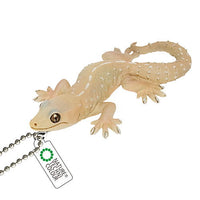 Nature Techni colour MONO PLUS Lizards and geckos magnets & ball chains [16.Common house gecko Ball Chain]