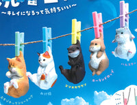 Sentakubiyori [All 5 type set(Full Complete)]