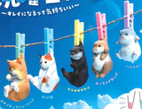 Sentakubiyori [All 5 type set(Full Complete)]