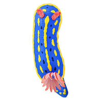 Nature Techni Color MONO PLUS Seaside creatures Magnet & Ball Chain [1.Hypselodoris festiva (Magnet)]