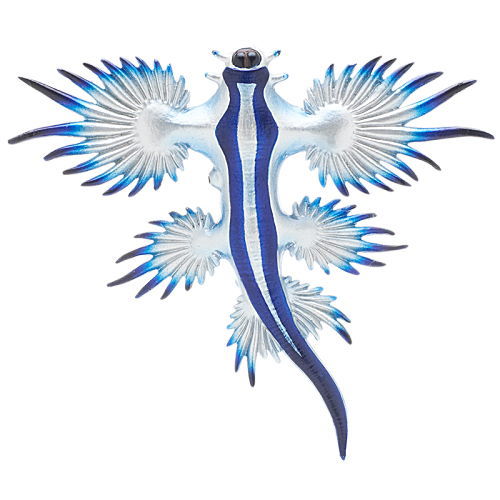 Nature Techni Color MONO PLUS Seaside creatures Magnet & Ball Chain [3.Glaucus atlanticus (Magnet)]