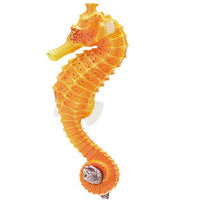 Nature Techni Color MONO PLUS Seaside creatures Magnet & Ball Chain [7.Hippocampus?kelloggi (Magnet)]