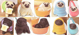 Animal attraction Pug Sanpo [All 10 type set(Full Complete)]