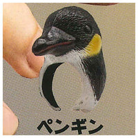 Beast King Animal Ring [1.Penguins]