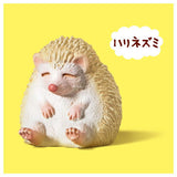 Panda's ana ZOO ZOO ZOO himananone Special color ver. [1.Hedgehog]