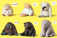 Panda's ana ZOO ZOO ZOO himananone Special color ver. [All 6 type set(Full Complete)]