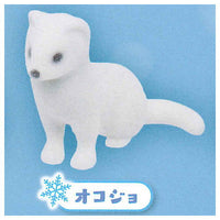 Shirofuwa animal [4.Stoat]