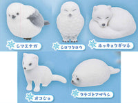 Shirofuwa animal [All 5 type set (Full Complete)]