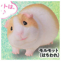 Gokuraku Handling Figure Animal Idol Edition Series Part.3 [1.Guinea pig (hachiware)]