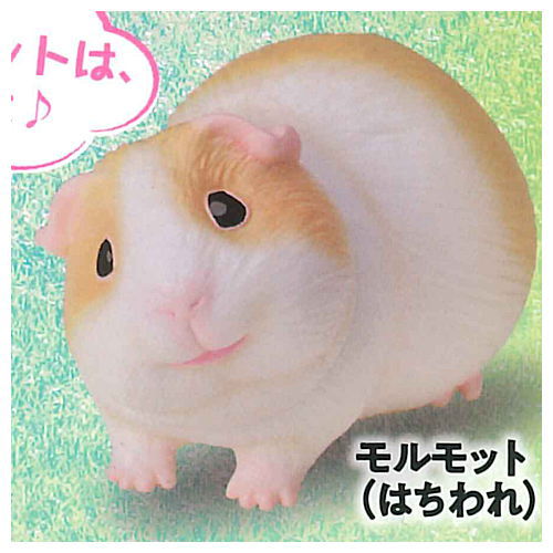 Gokuraku Handling Figure Animal Idol Edition Series Part.3 [1.Guinea pig (hachiware)]