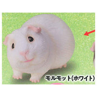 Gokuraku Handling Figure Animal Idol Edition Series Part.3 [2.Guinea pig (white)]