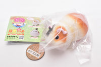 Gokuraku Handling Figure Animal Idol Edition Series Part.3 [3.Guinea pig (mike)]