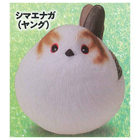 Gokuraku Handling Figure Animal Idol Edition Series Part.3 [5.Long-tailed Tit (young)]