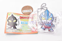 Ultraman Club Acrylic Keychain Part.2 [3.Ultraman Ginga (Regular Edition)]