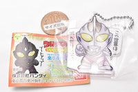 Ultraman Club Acrylic Keychain Part.2 [11.Ultraman Gaia (Regular Edition)]