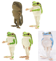 Narabetai Seiretsu Tree frog [All 5 type set (Full Complete)]