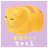 Yawamocchi Koneko [4.Catloaf sitting Chatora]