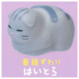 Yawamocchi Koneko [5.Catloaf sitting Haitora]